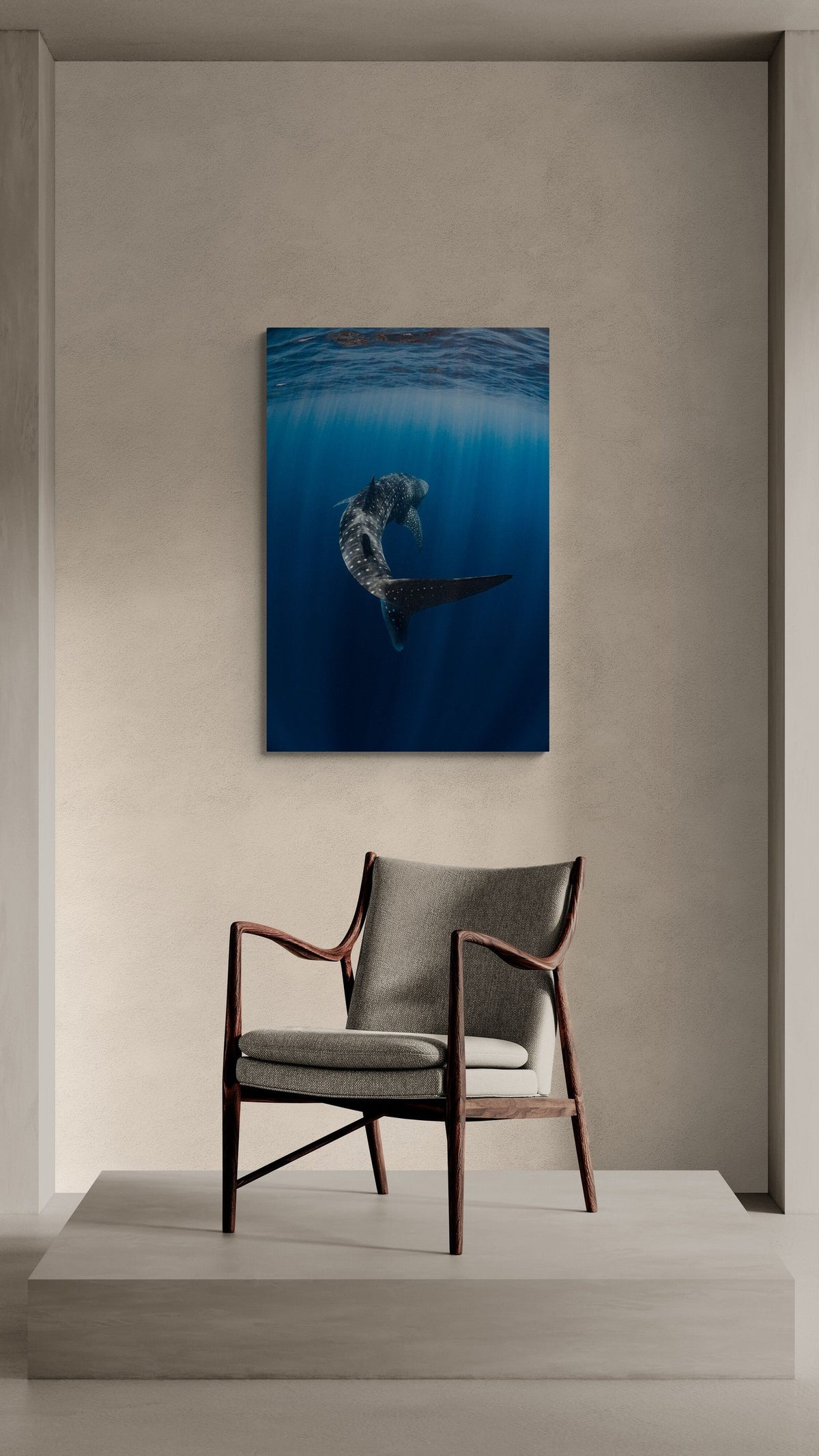 Whale shark art print — The Swish N Flick by Ollie Clarke — view 2 in a room