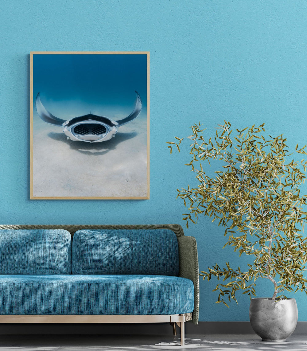 Manta ray art print — The Amazing by Jake Wilton — view 4 in a room
