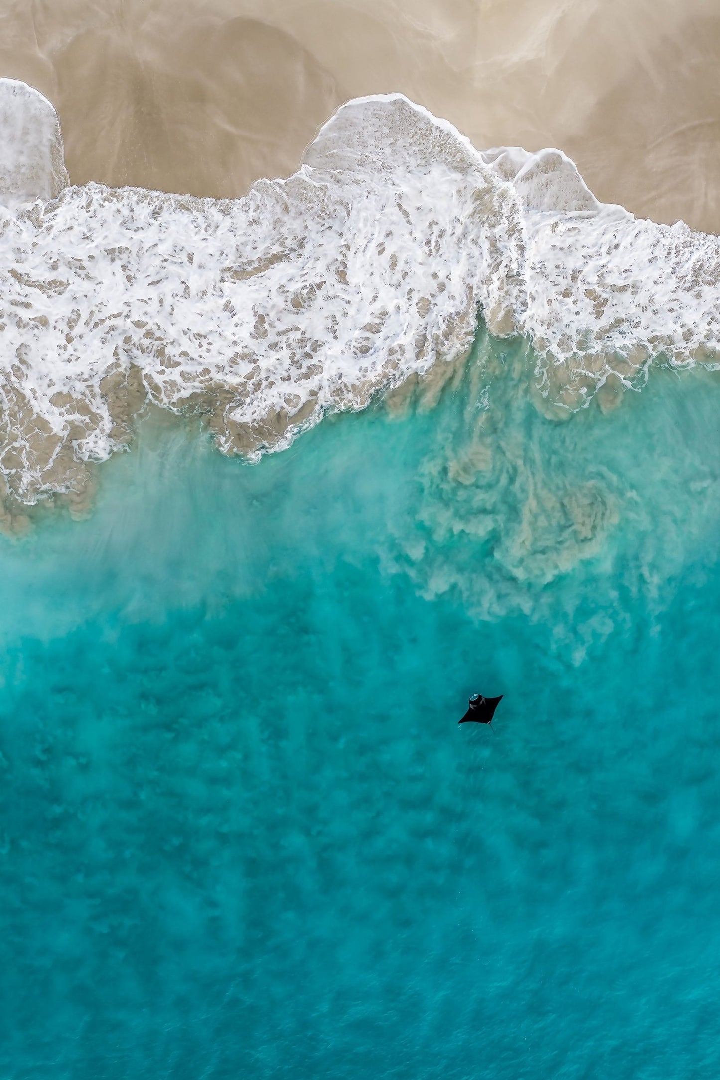 Jake Wilton - The Beauty - GeoChange