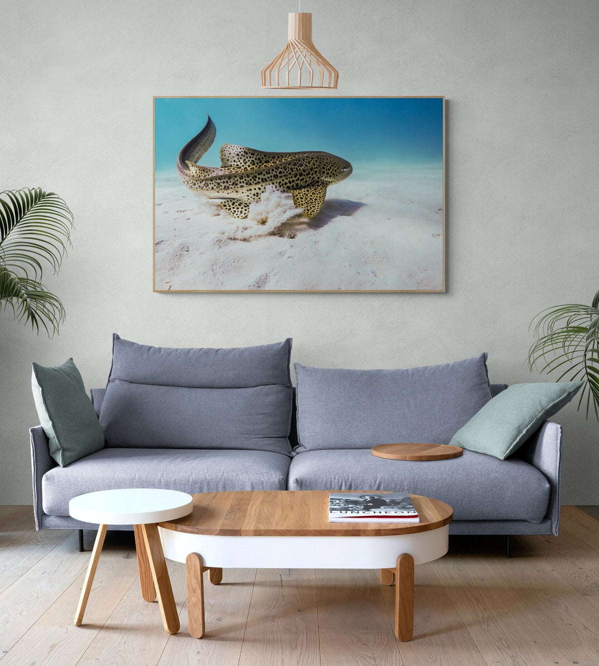 The Beauty in a room