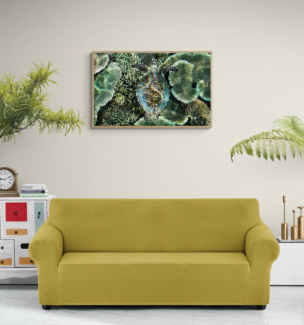 Sea turtle art print — The Beauty by Paul Hilton — in a room setting, view 4 in a room