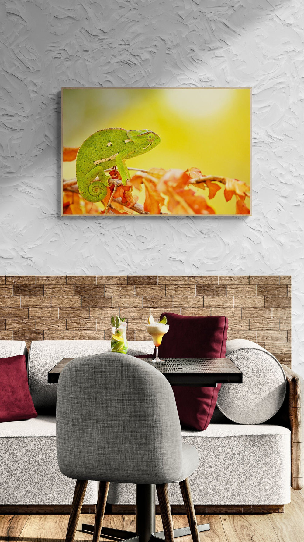 The Chameleon in a room