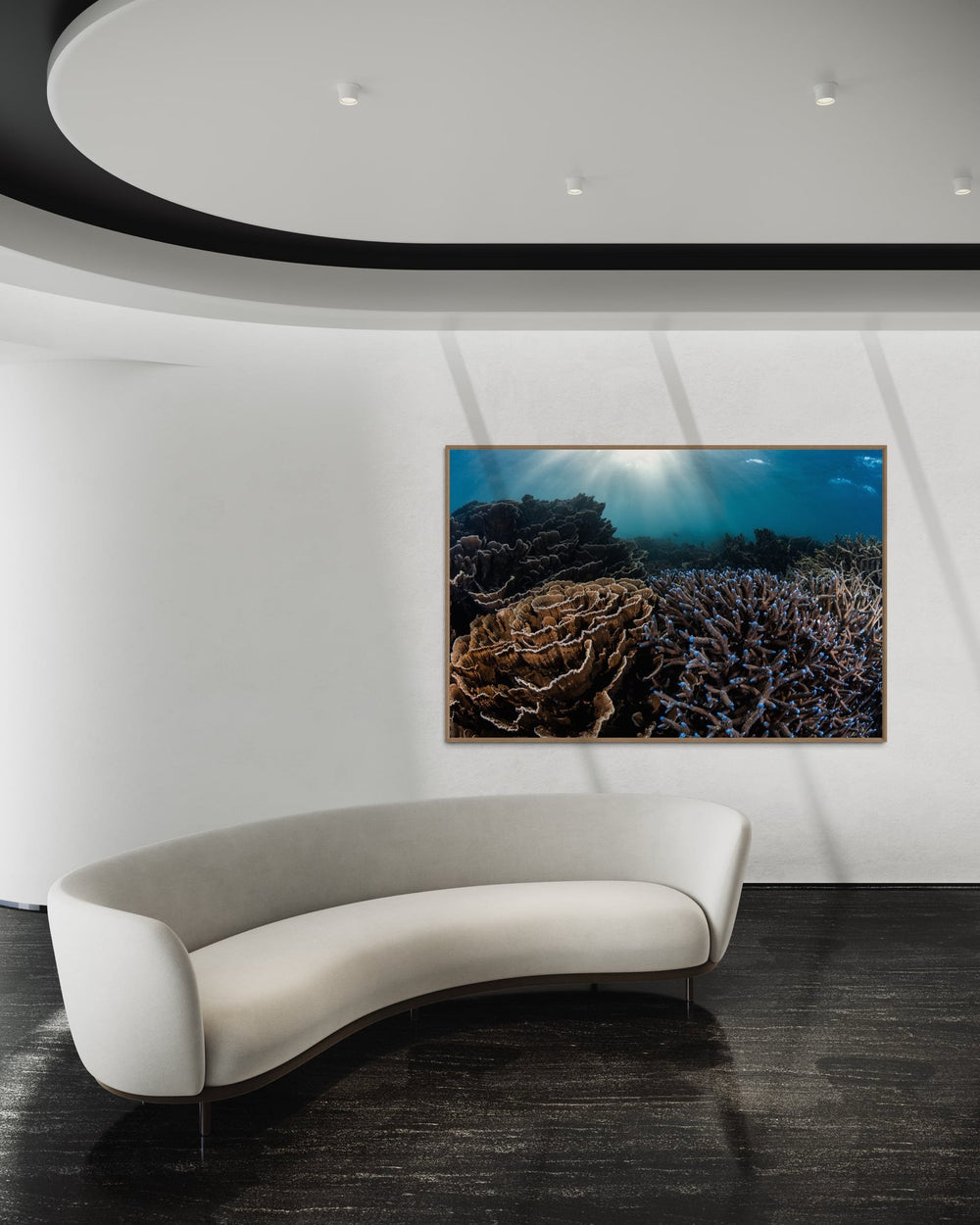 Coral art print — The Creator by Jake Wilton — view 4 in a room