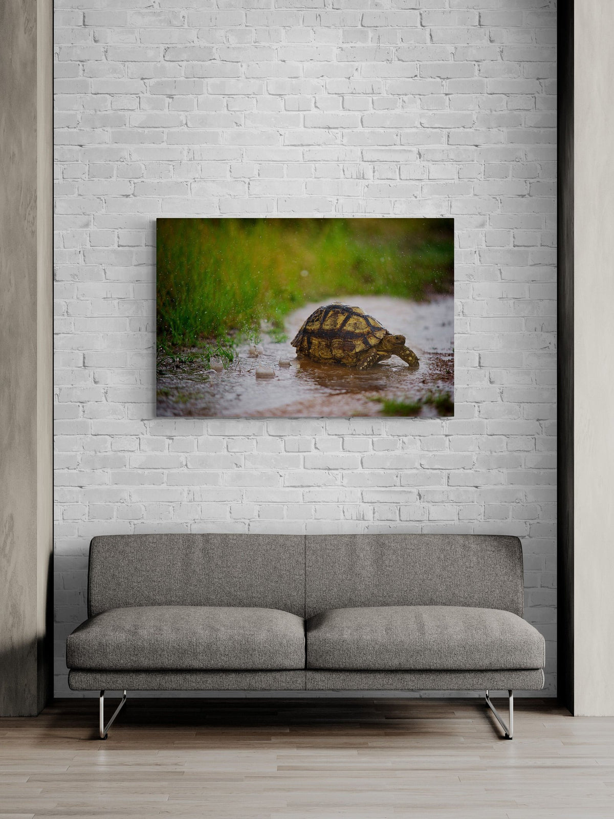 Wildebeest art print — The Crossing by Shannon Wild — view 2 in a room