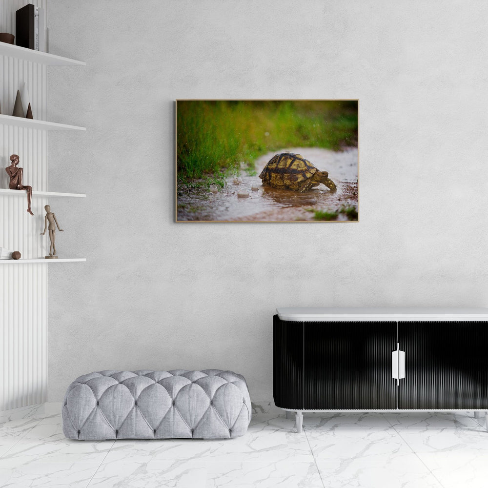 Wildebeest art print — The Crossing by Shannon Wild — view 4 in a room