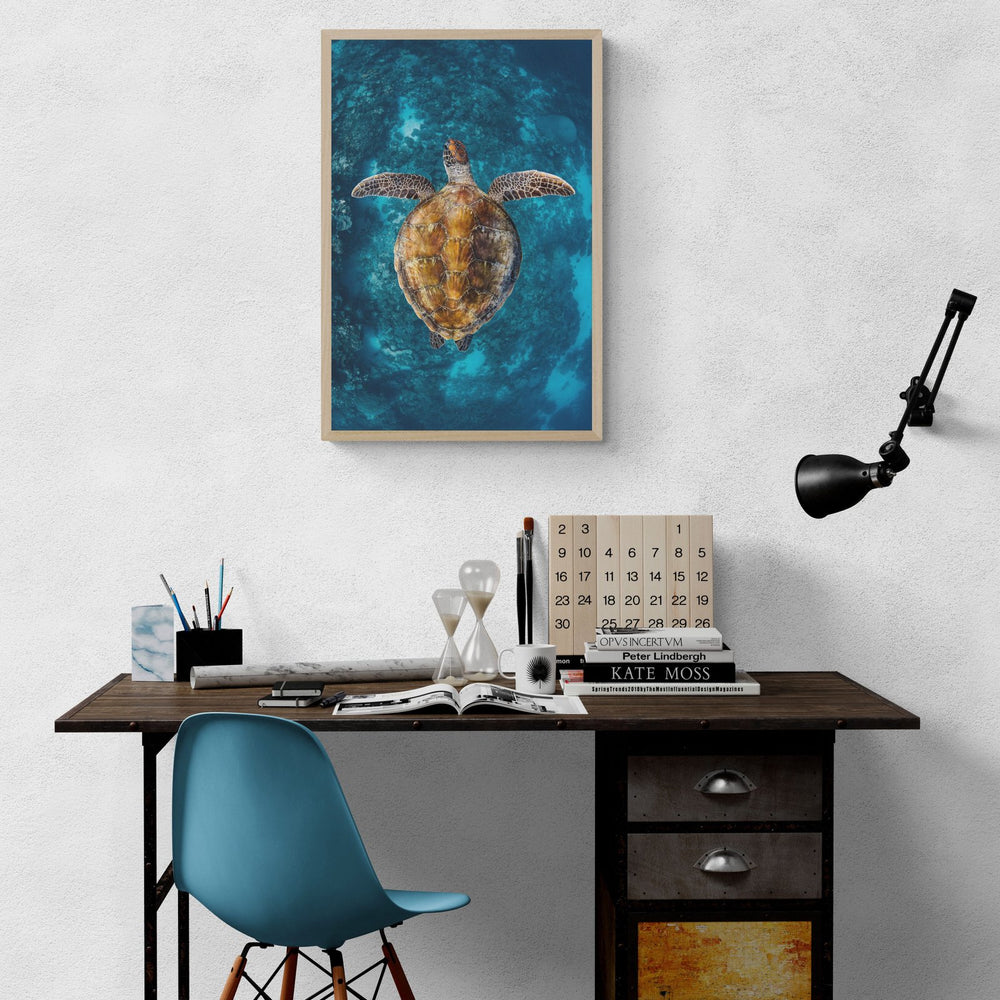 Sea turtle art print — The Cruising by Jake Wilton — view 4 in a room