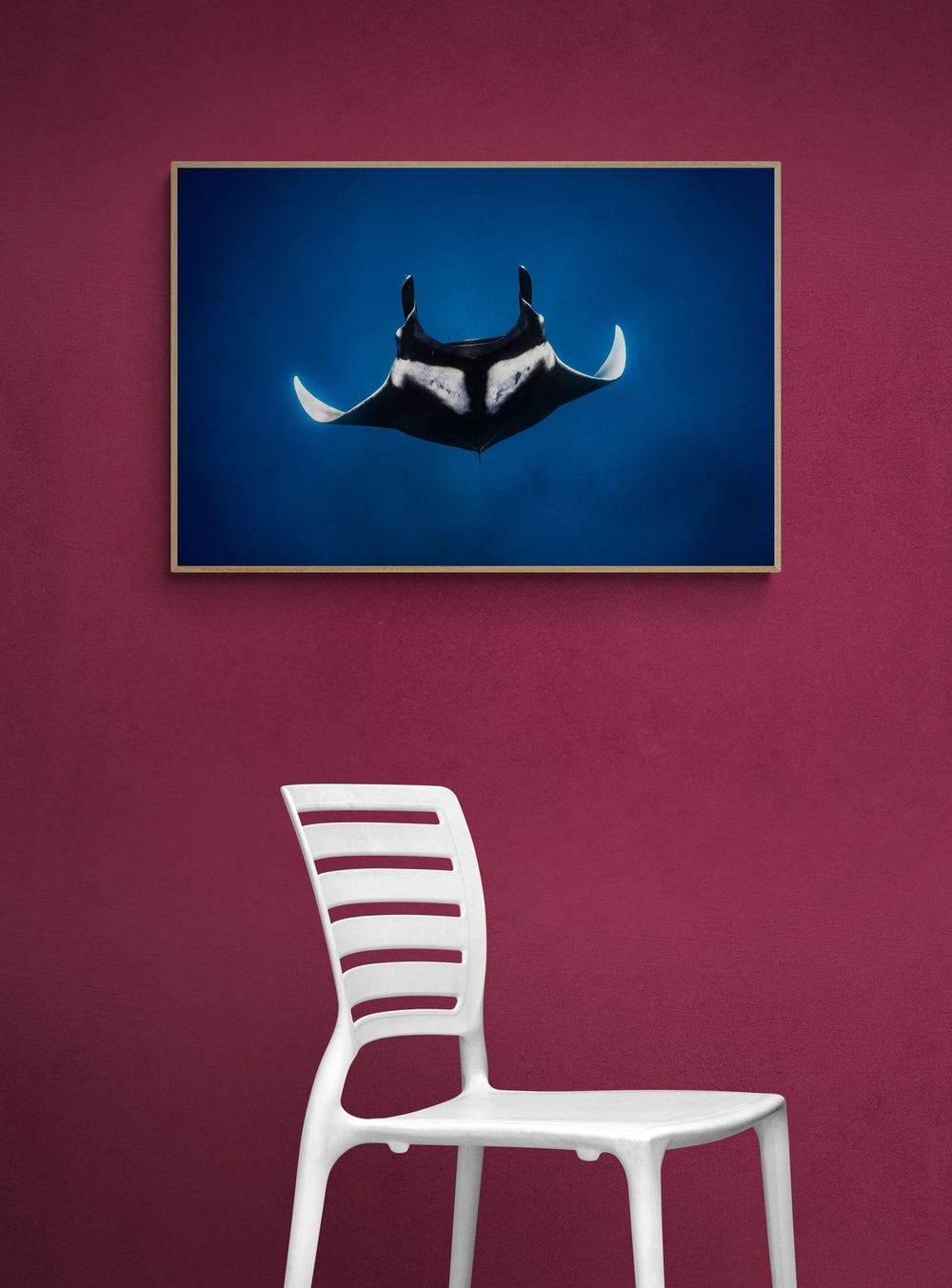 Manta ray art print — The Curve by Ollie Clarke — view 4 in a room