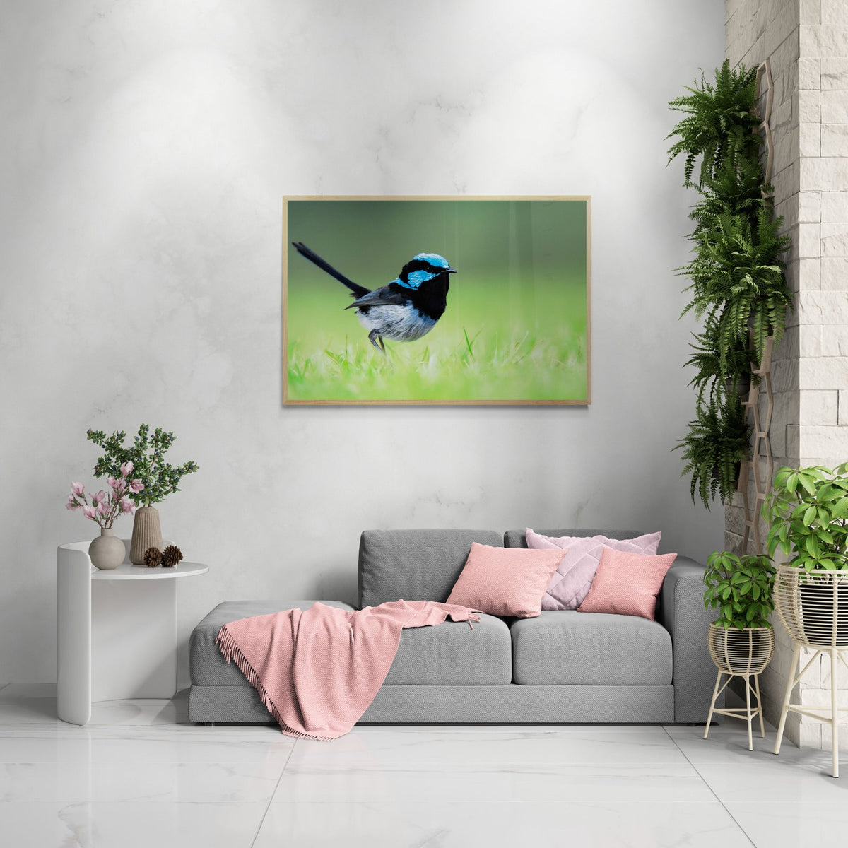 The Cute in a room