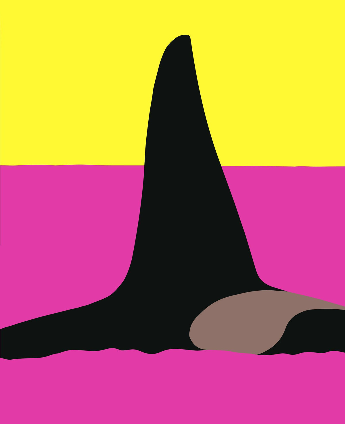 The Dorsal Fin, up close
