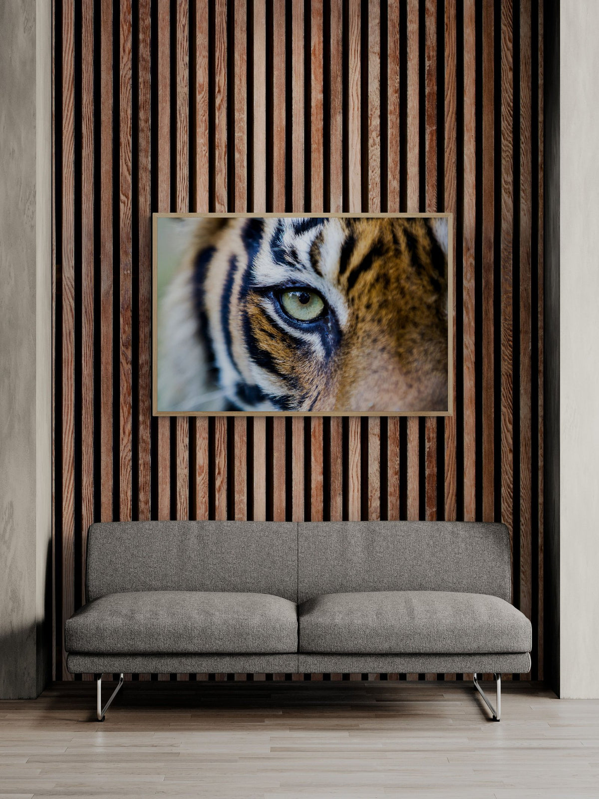Tiger art print — The Eye Of The Tiger by Paul Hilton — view 2 in a room