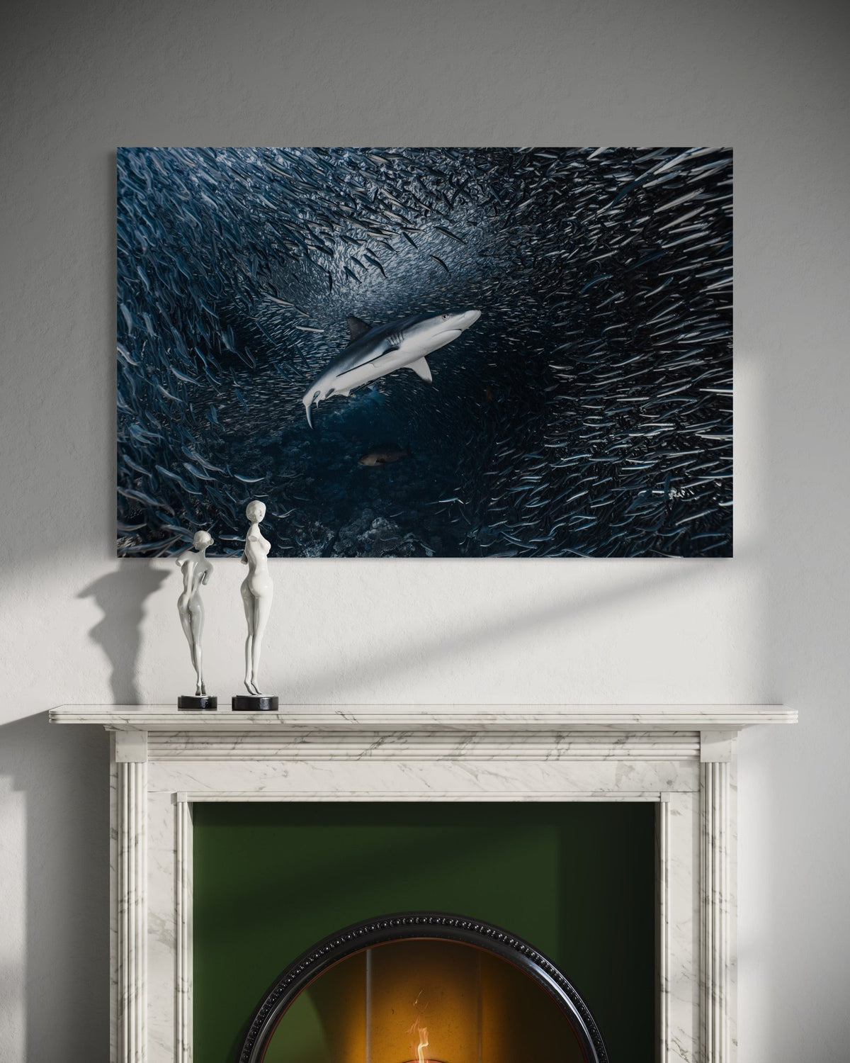 The Favorite in a room