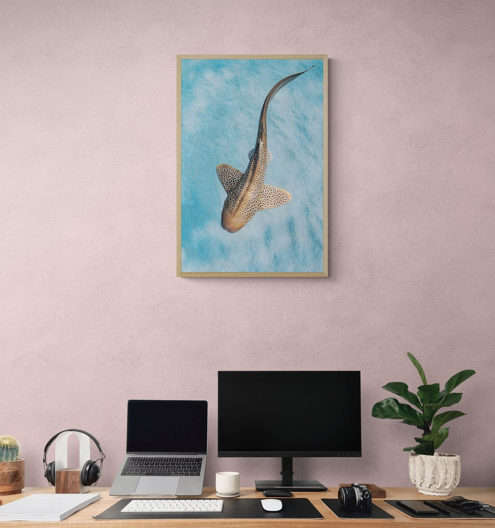 The Float in a room