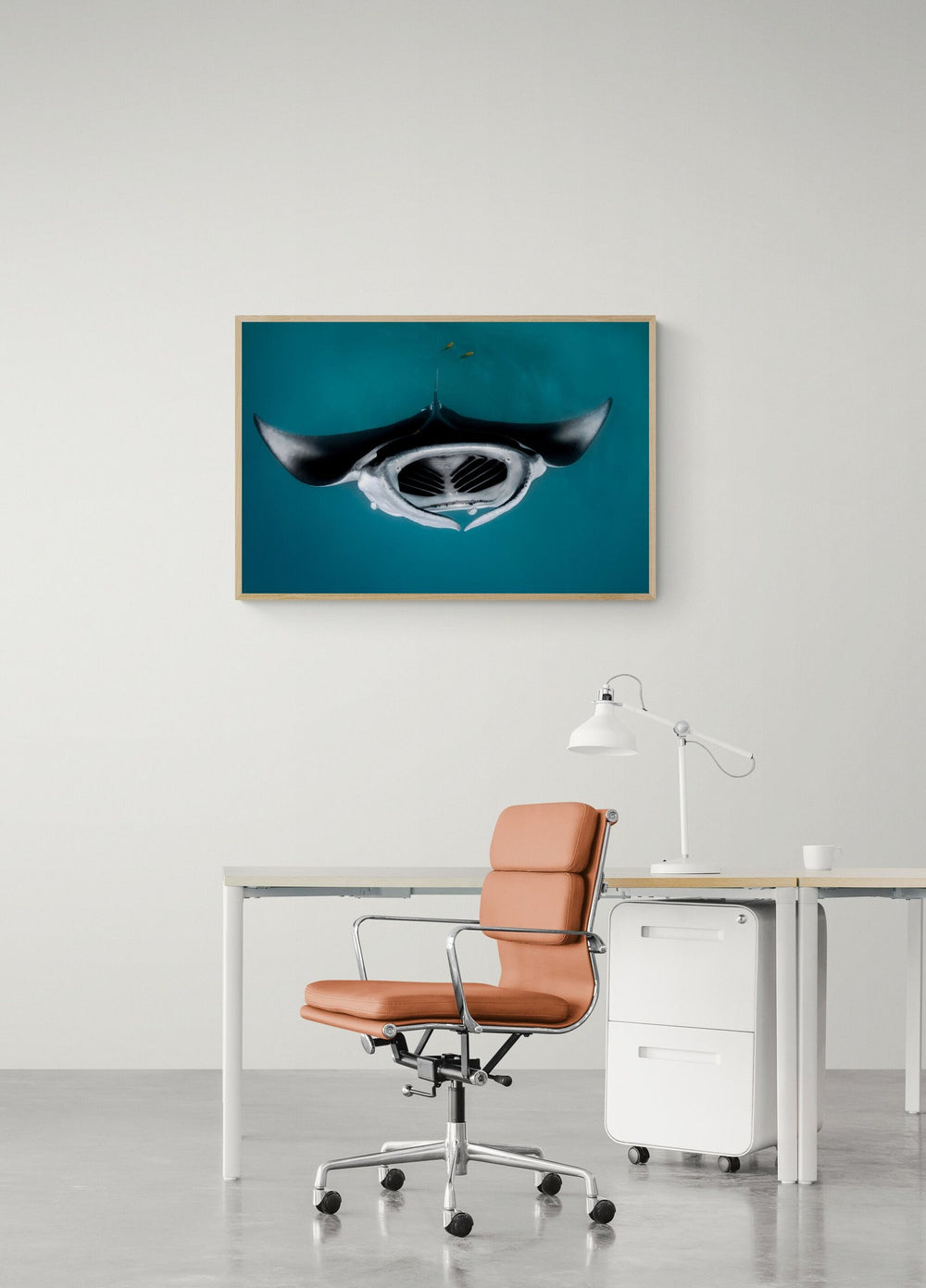 The Follow in a room