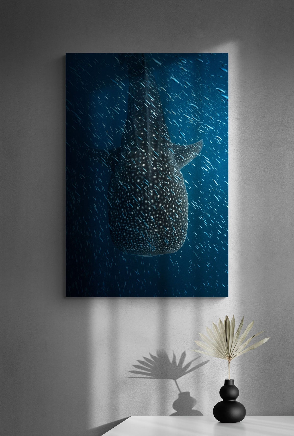Whale shark art print — The Frenzy by Jake Wilton — view 2 in a room