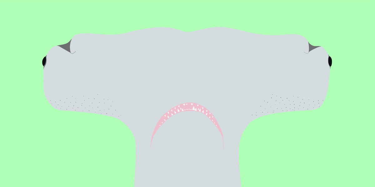 The Great Hammerhead