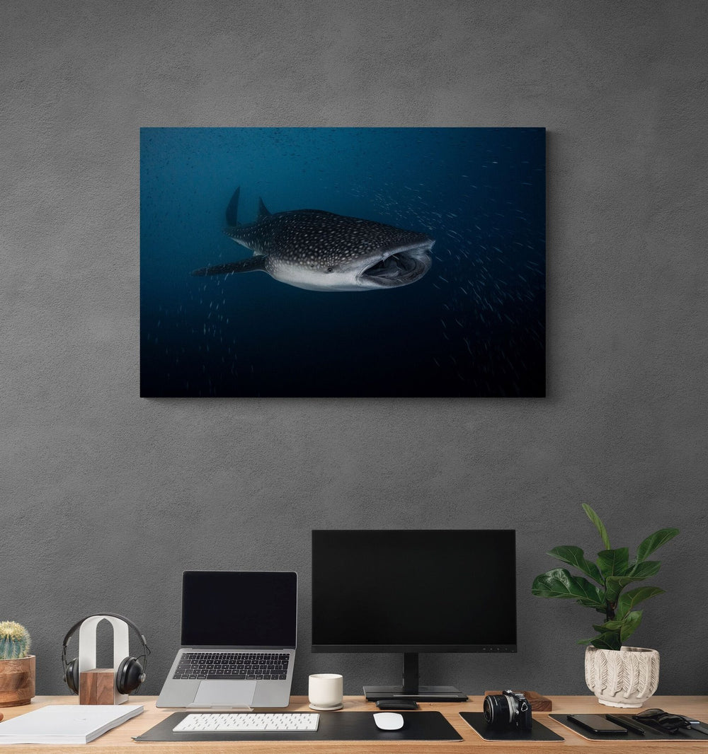 Whale shark art print — The Hungry by Jake Wilton — view 4 in a room