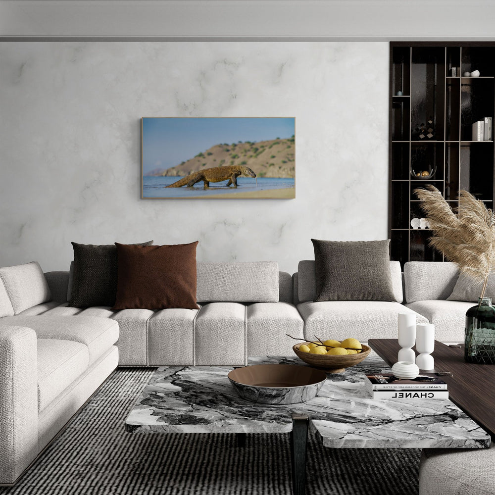 The Komodo in a room