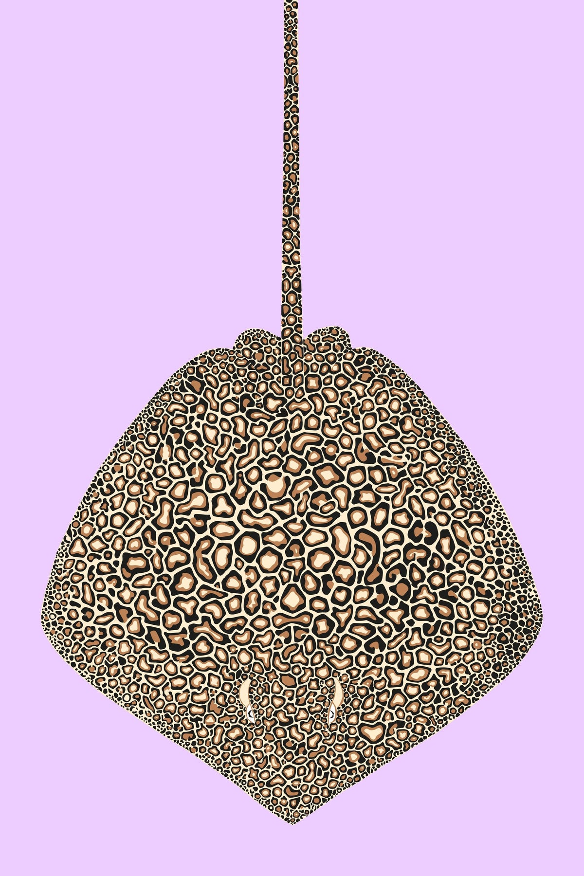 The Leopard Whipray, up close