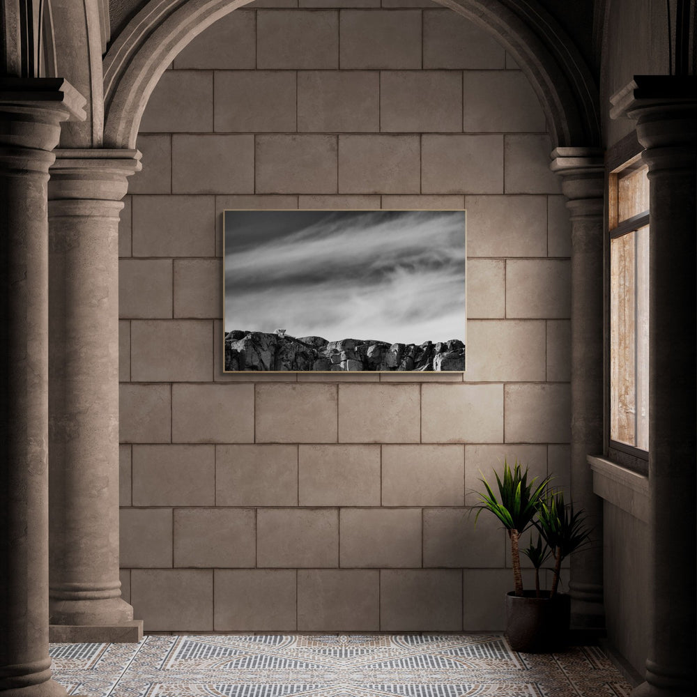 The lookout — limited-edition art print by Shannon Wild — view 4 in a room