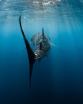 Underwater