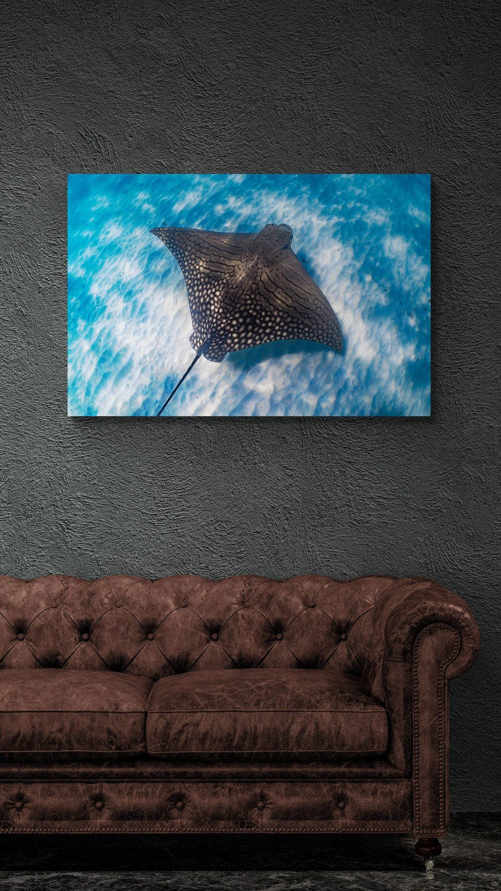 The Ornate — limited-edition art print by Ollie Clarke — view 4 in a room