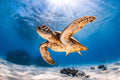 Underwater