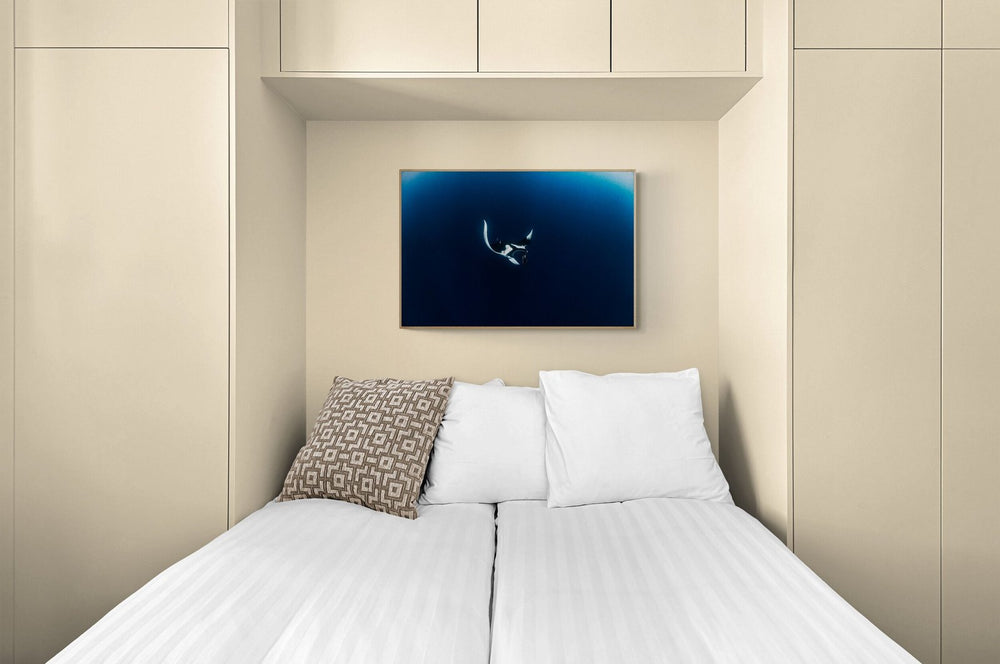 The Ray Lay in a room