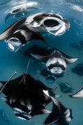 Underwater