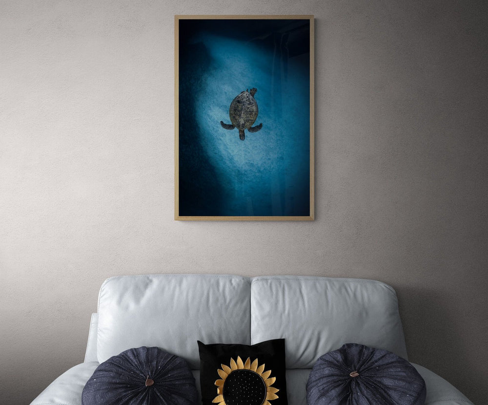 The Search in a room