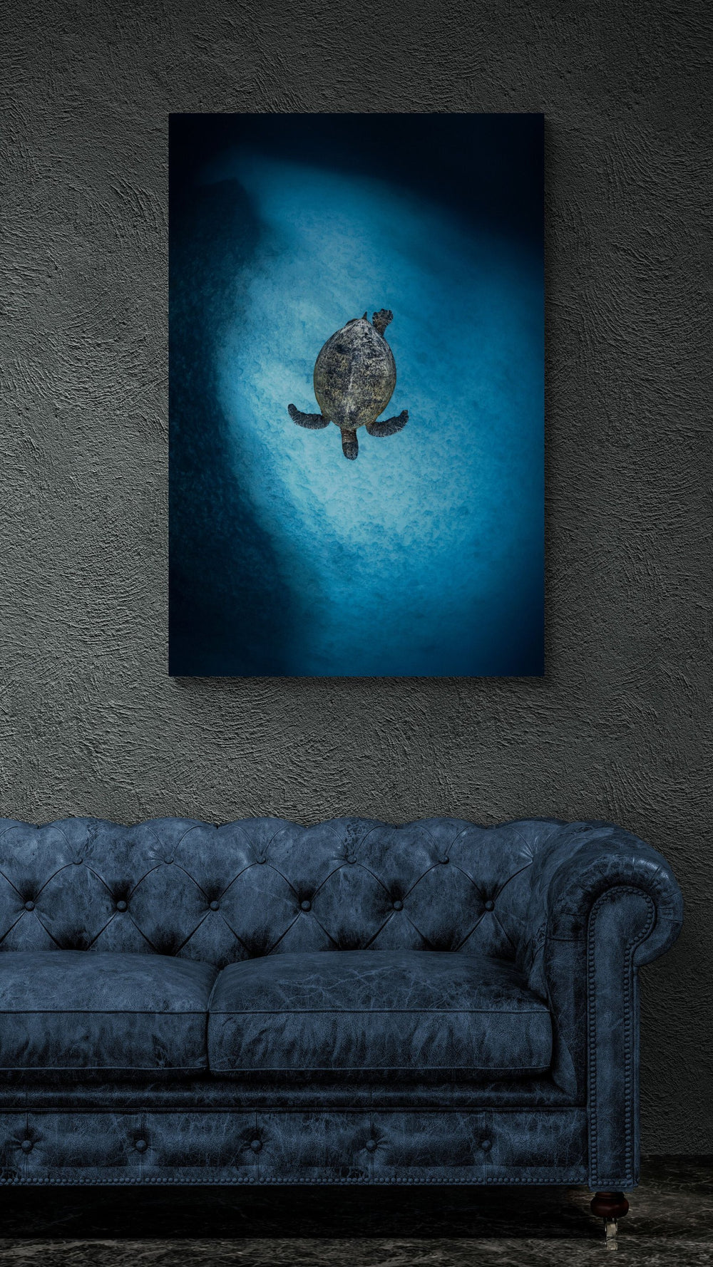 Sea turtle art print — The Search by Jake Wilton — view 4 in a room