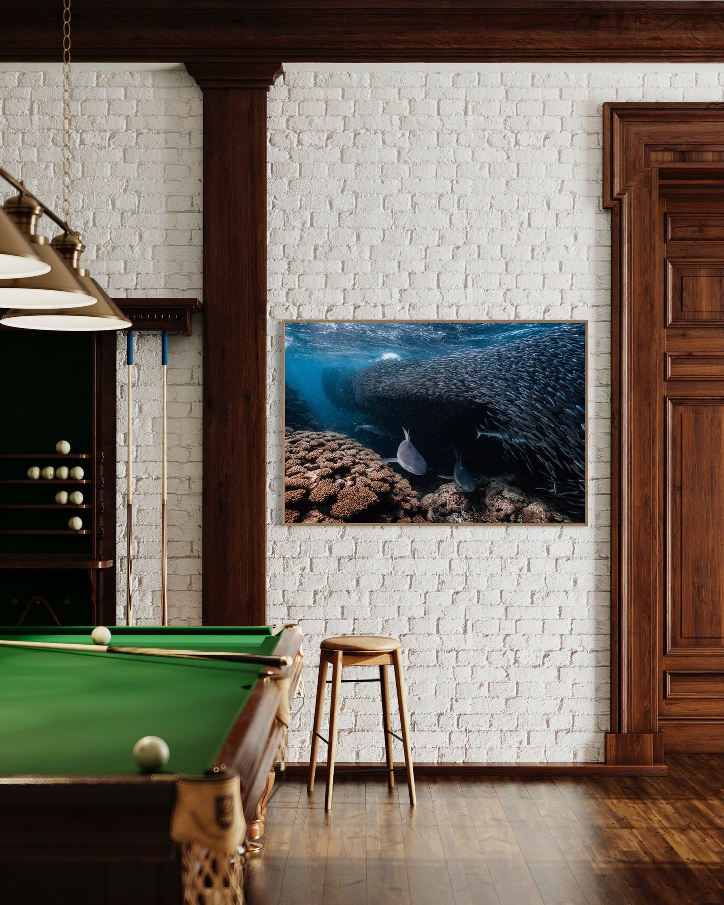 Daniel Nicholson - The Shark Alley - GeoChange