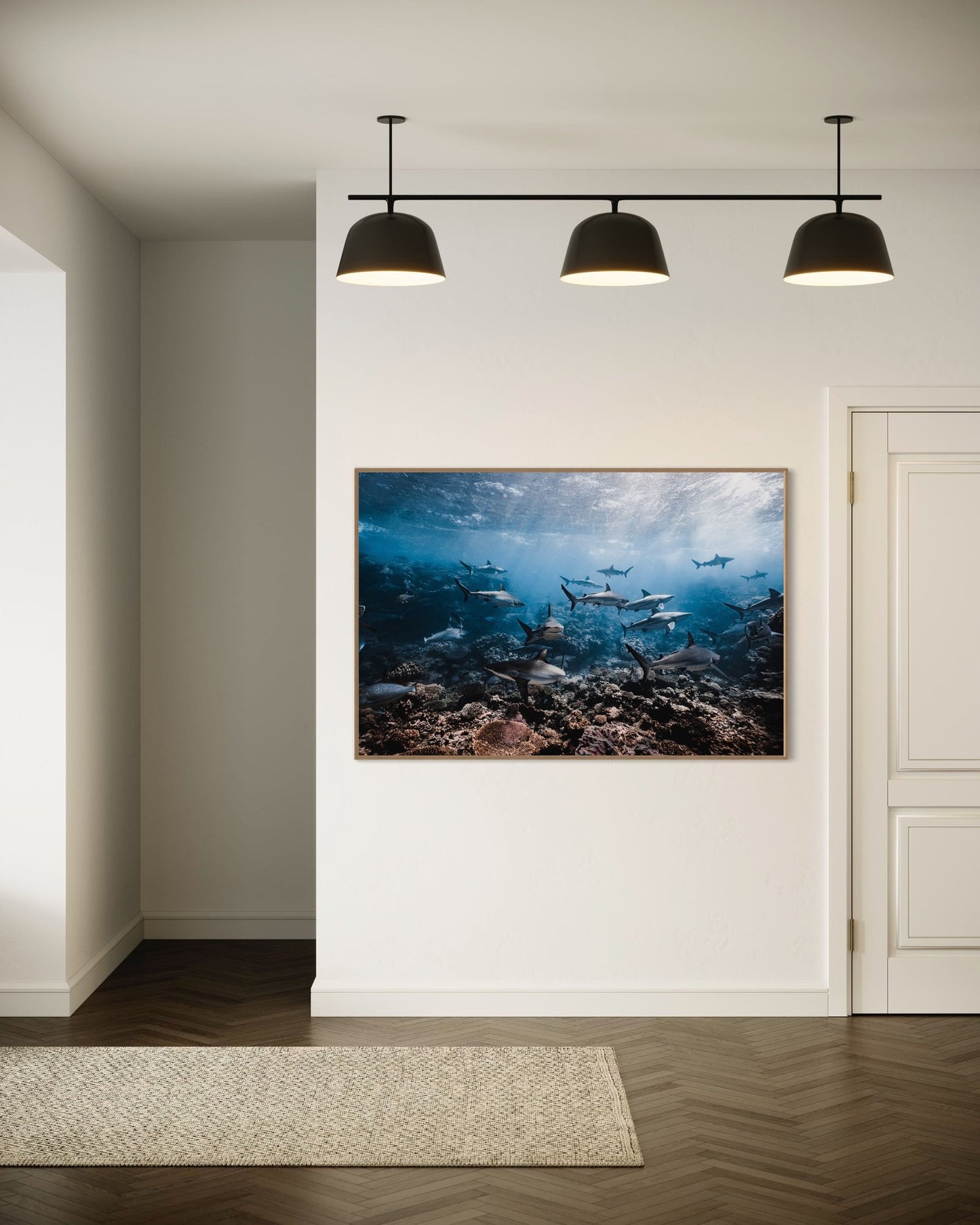 Daniel Nicholson - The Shark Paradise - GeoChange