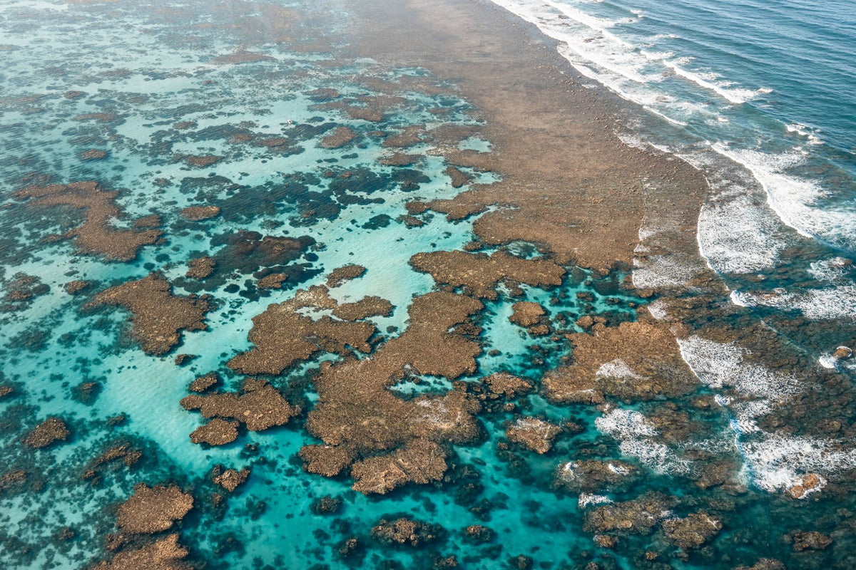 The Shore, up close