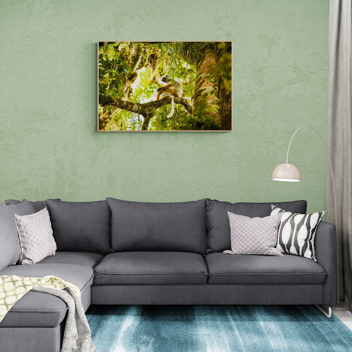 The Sifaka in a room