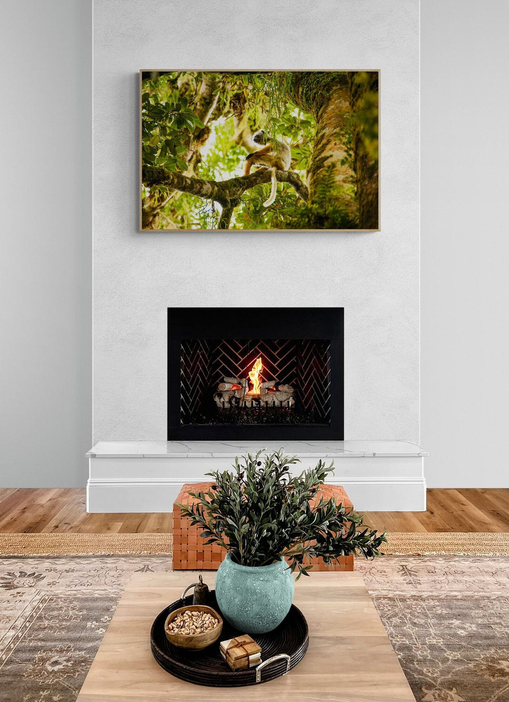 The Sifaka in a room