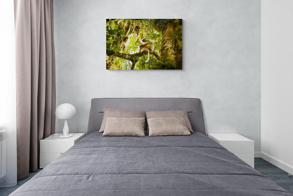 Sifaka art print — The Sifaka by Shannon Wild — view 4 in a room
