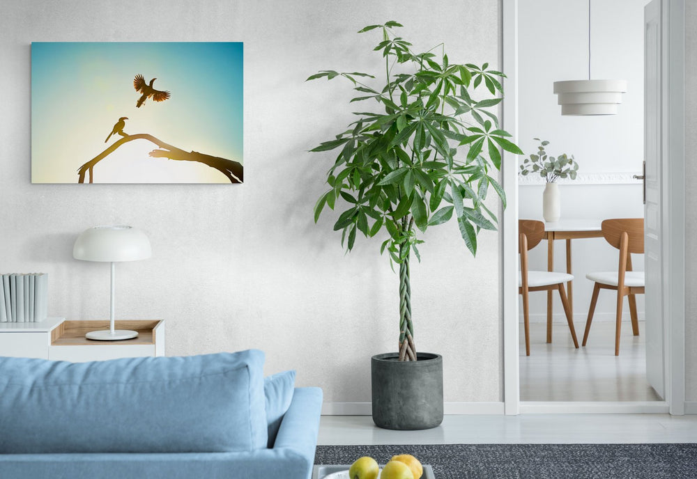 The Simple in a room