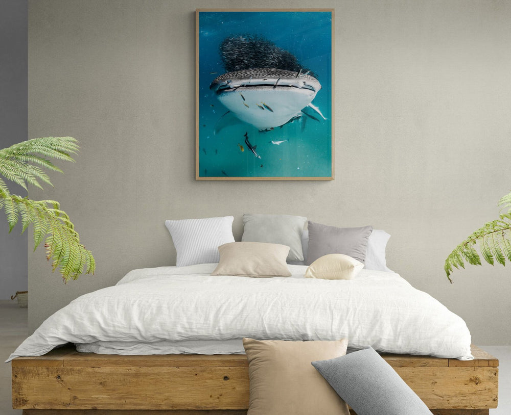 Whale shark art print — The Smile by Jake Wilton — view 4 in a room
