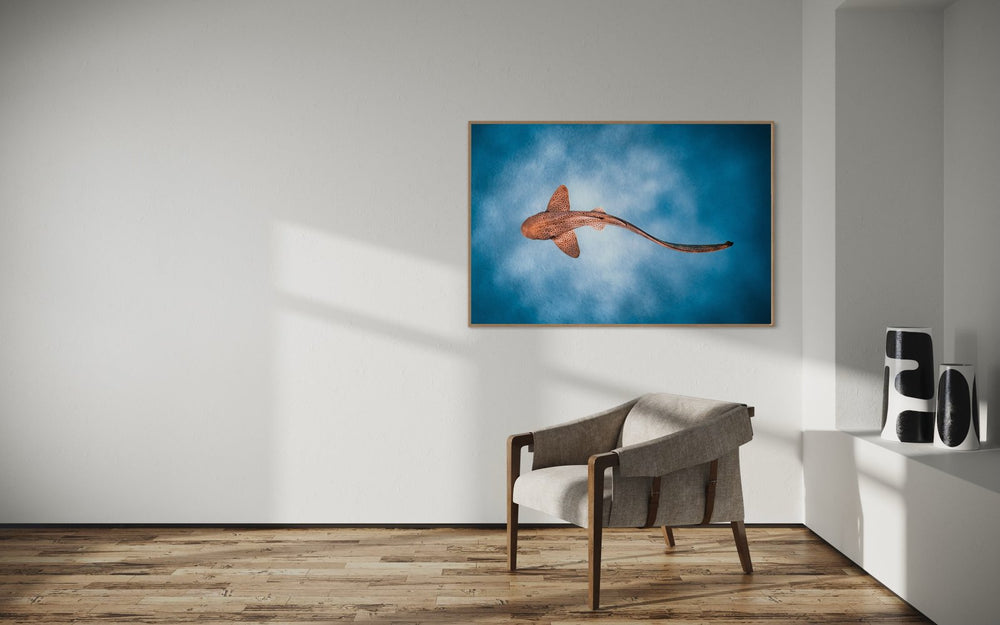 Leopard shark art print — The Spot by Daniel Nicholson — in a room setting, view 4 in a room