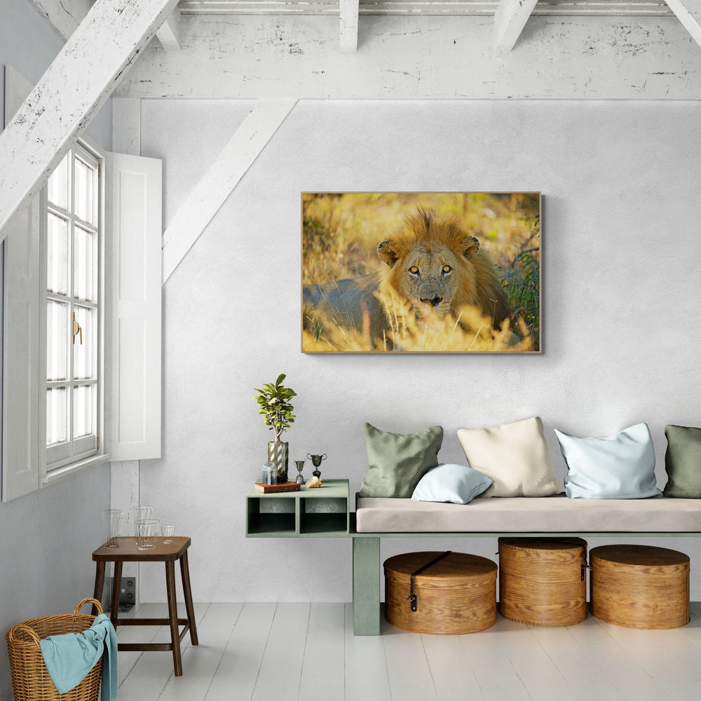 The Stare — limited-edition art print by Shannon Wild — view 4 in a room
