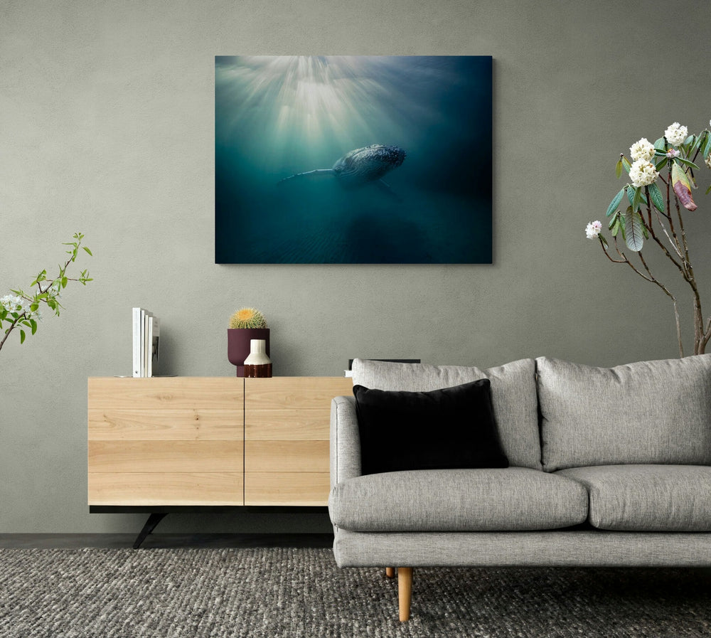 The Sunray in a room