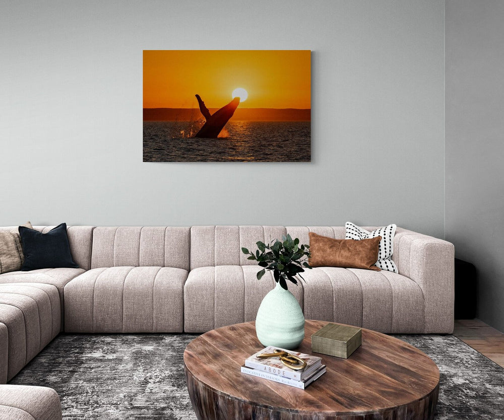 Humpback whale art print — The Sunset Wave by Ollie Clarke — in a room setting, view 4 in a room