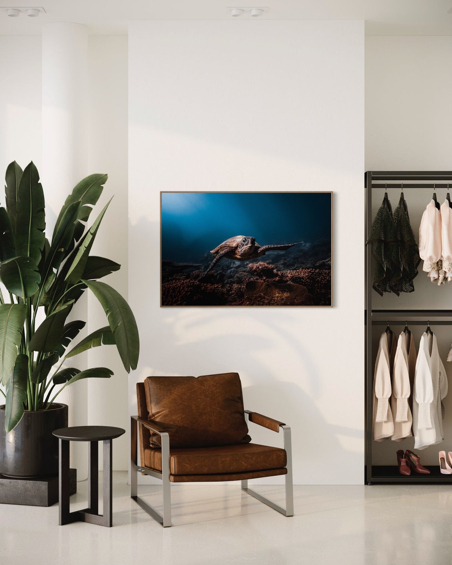 In-room photo of "The Turtle Cruise," an artwork by Daniel Nicholson.