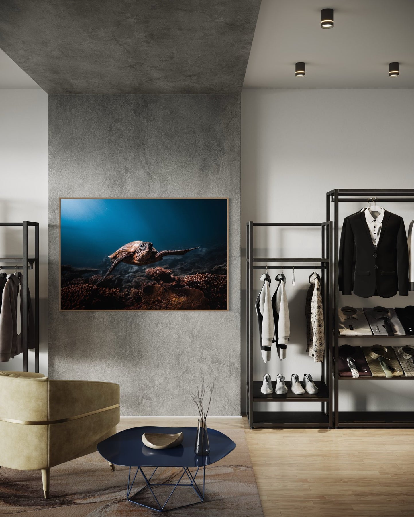 In-room photo of "The Turtle Cruise," an artwork by Daniel Nicholson.