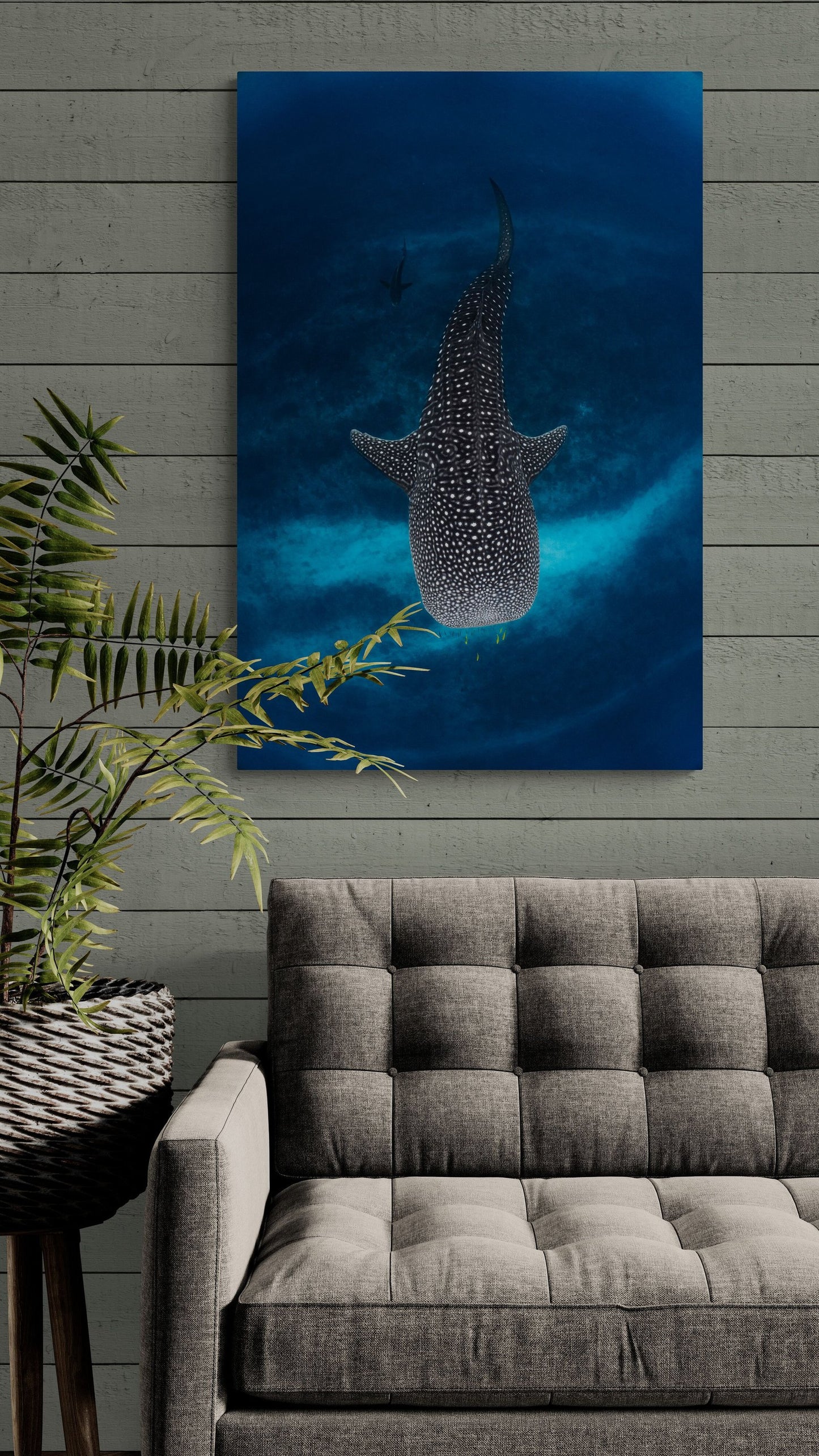 In-room photo of "The Whale On The Reef," an artwork by Ollie Clarke.