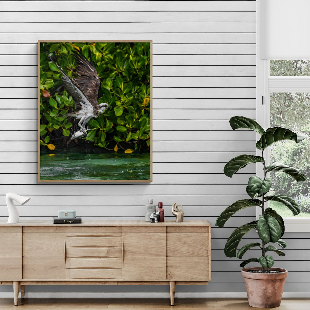 Mangrove art print — The Win by Jake Wilton — view 4 in a room