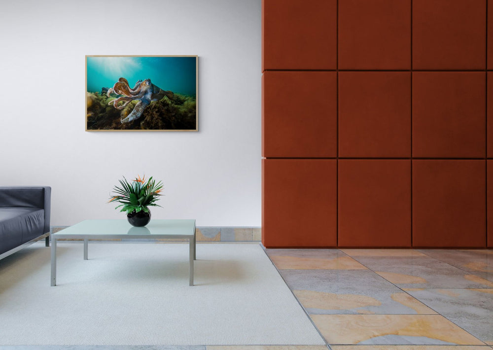 The Wise in a room