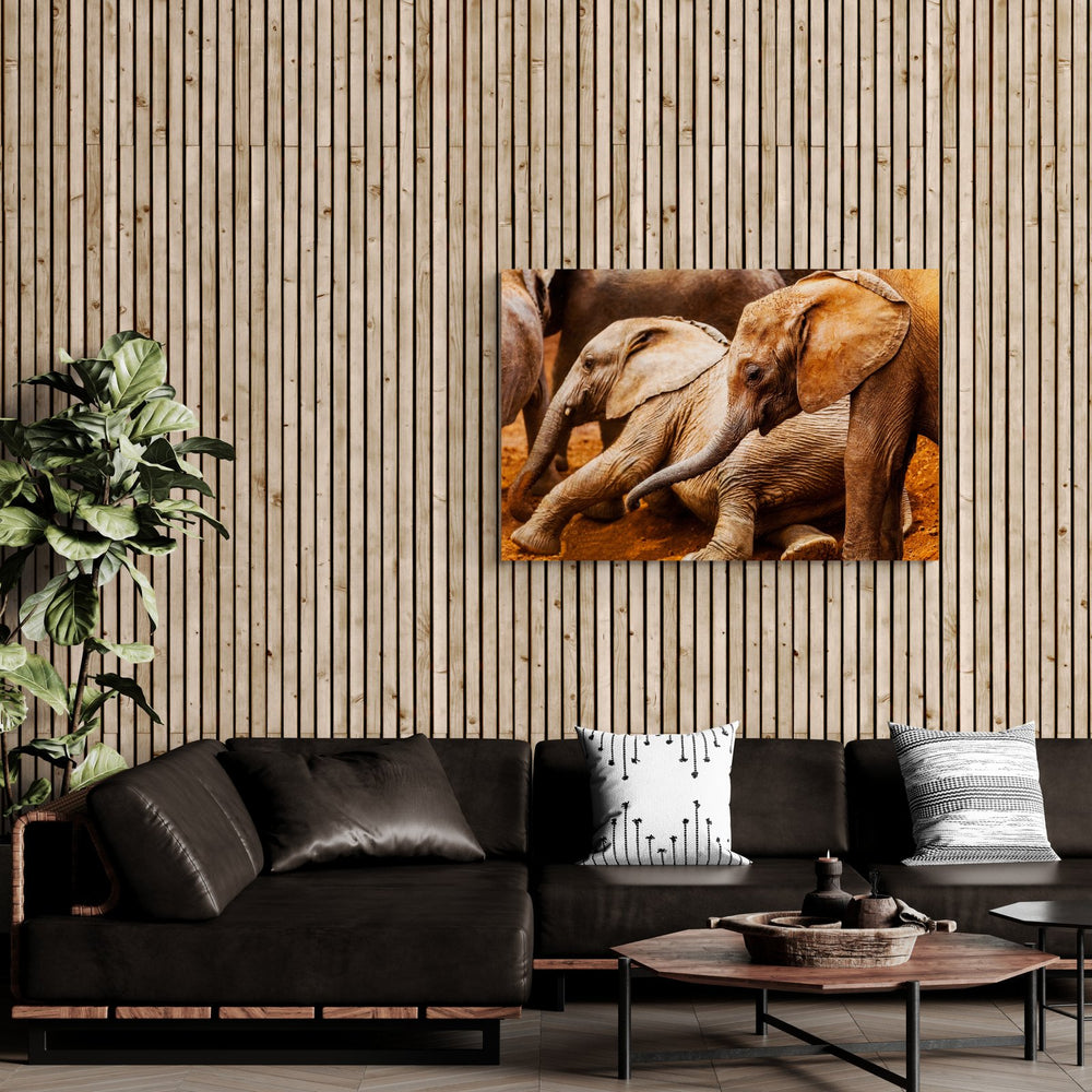 Elephant art print — The Youth by Paul Hilton — view 4 in a room