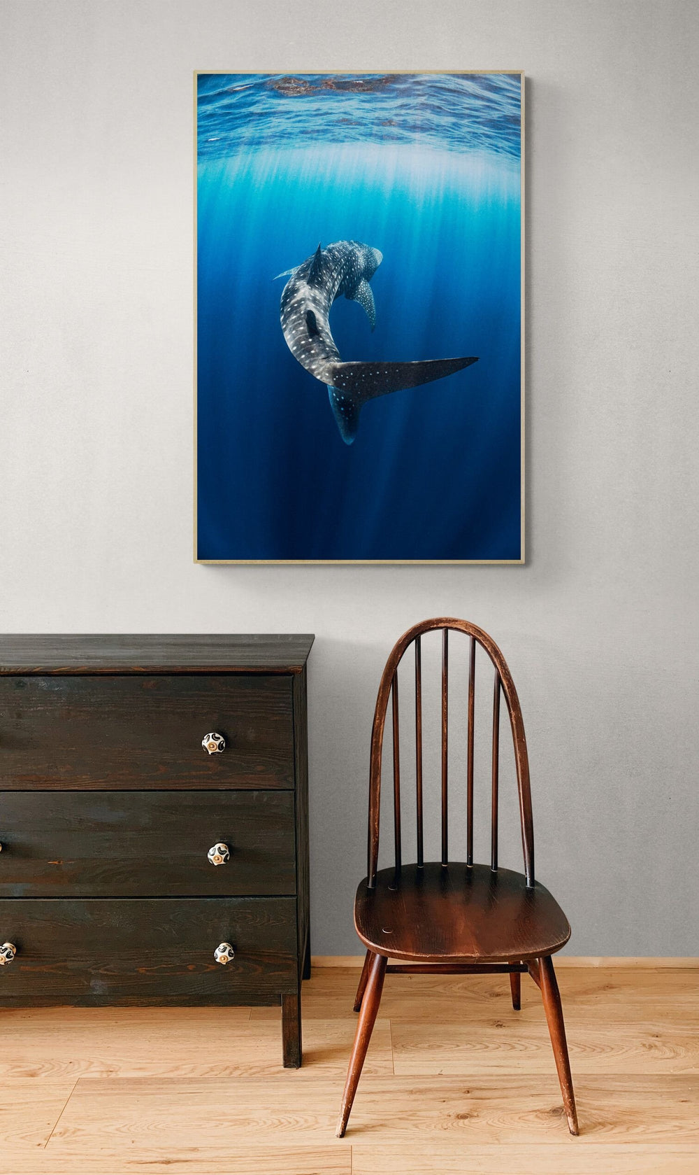 Whale shark art print — The Swish N Flick by Ollie Clarke — view 4 in a room