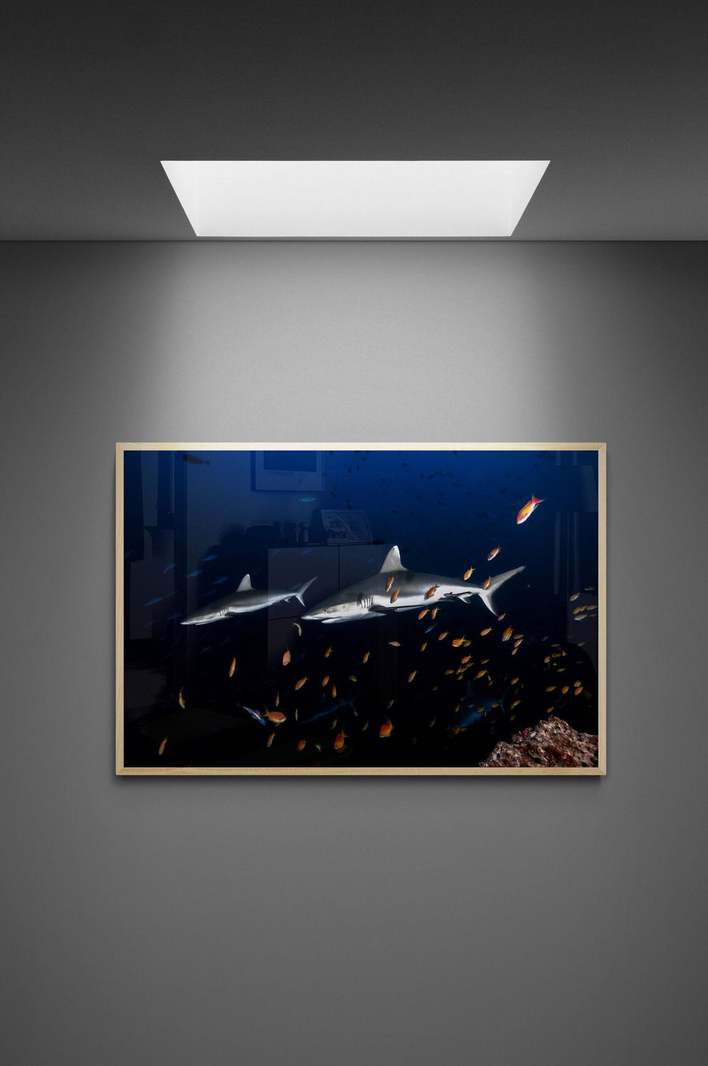 Shark art print — The Abyss by Jake Wilton — view 4 in a room